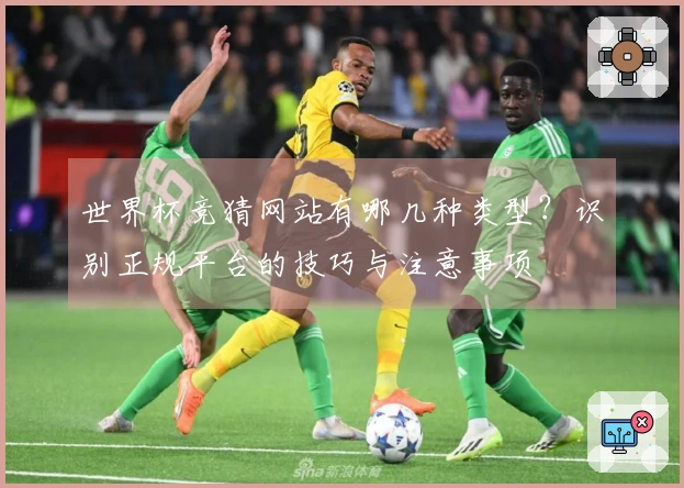世界杯竞猜网站有哪几种类型？识别正规平台的技巧与注意事项