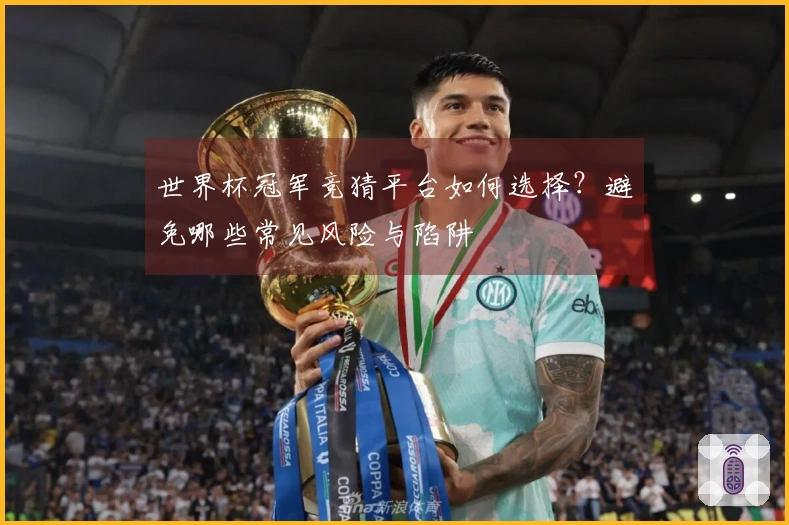 世界杯冠军竞猜平台如何选择？避免哪些常见风险与陷阱