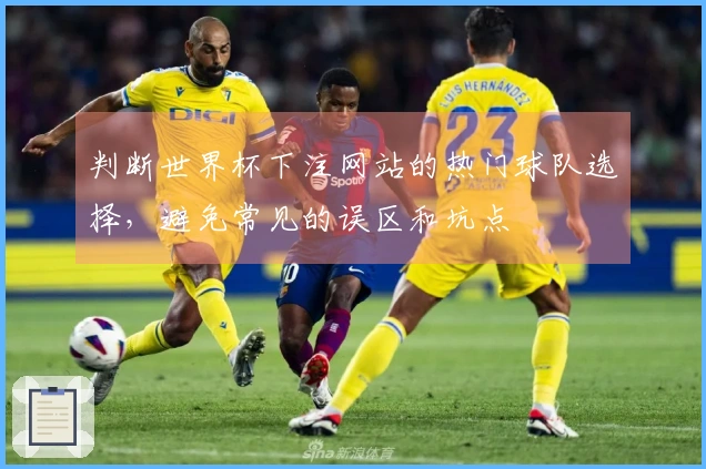判断世界杯下注网站的热门球队选择，避免常见的误区和坑点