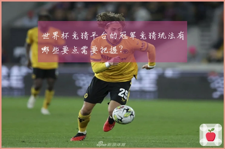 世界杯竞猜平台的冠军竞猜玩法有哪些要点需要把握？