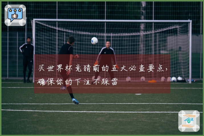 买世界杯竞猜前的五大必查要点，确保你的下注不踩雷