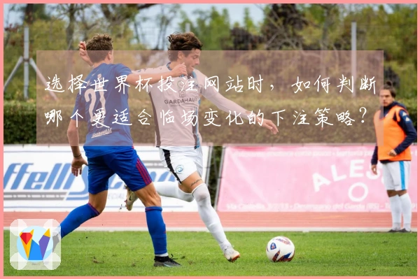 选择世界杯投注网站时，如何判断哪个更适合临场变化的下注策略？