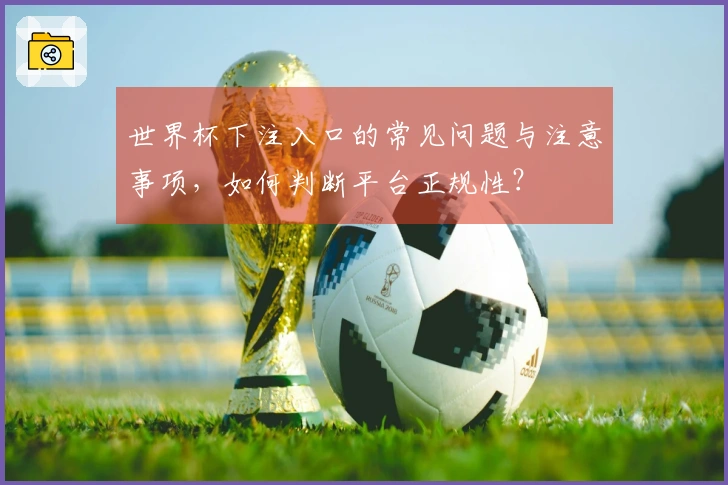 世界杯下注入口的常见问题与注意事项，如何判断平台正规性？