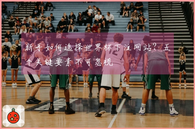 新手如何选择世界杯下注网站？五个关键要素不可忽视