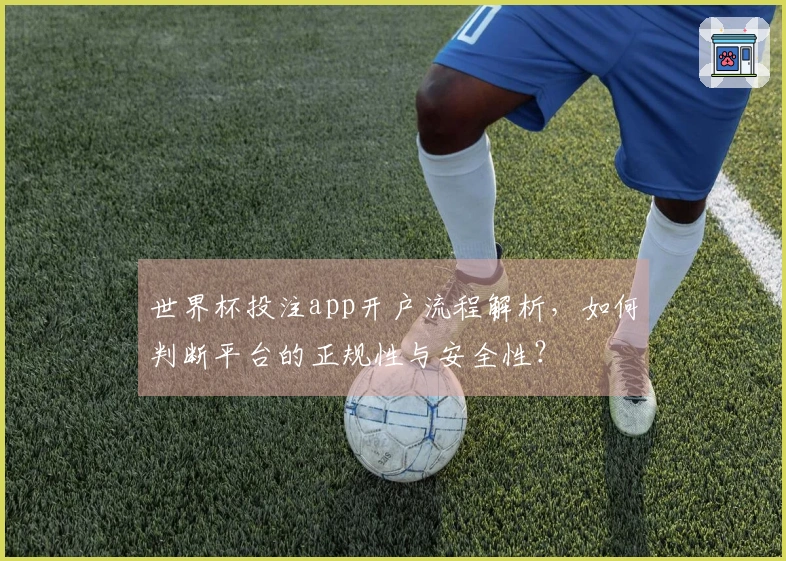 世界杯投注app开户流程解析，如何判断平台的正规性与安全性？