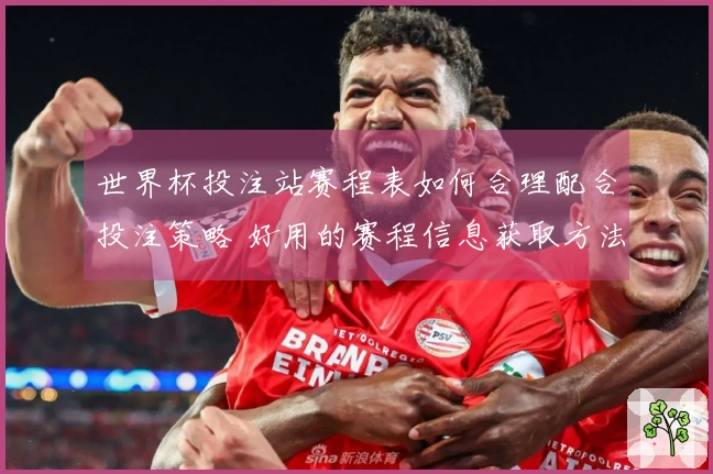 世界杯投注站赛程表如何合理配合投注策略 好用的赛程信息获取方法