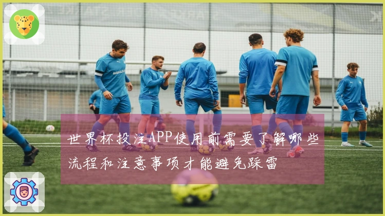 世界杯投注APP使用前需要了解哪些流程和注意事项才能避免踩雷