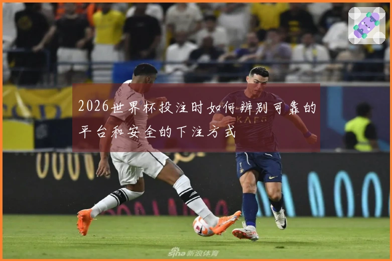 2026世界杯投注时如何辨别可靠的平台和安全的下注方式
