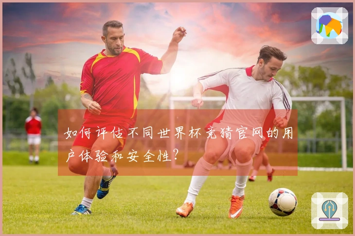 如何评估不同世界杯竞猜官网的用户体验和安全性？