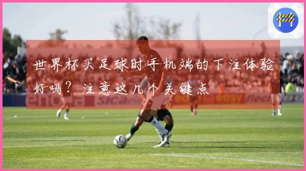 世界杯买足球时手机端的下注体验好吗？注意这几个关键点