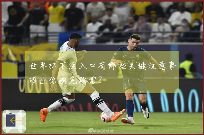 世界杯下注入口有哪些关键注意事项让你避免踩雷?