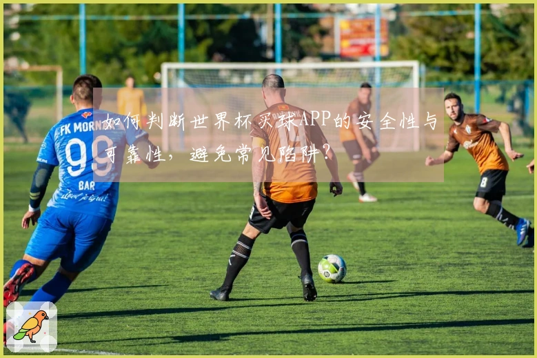 如何判断世界杯买球APP的安全性与可靠性，避免常见陷阱？