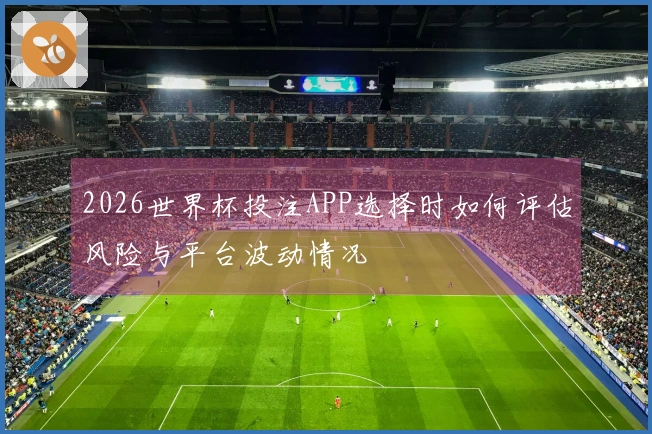 2026世界杯投注APP选择时如何评估风险与平台波动情况