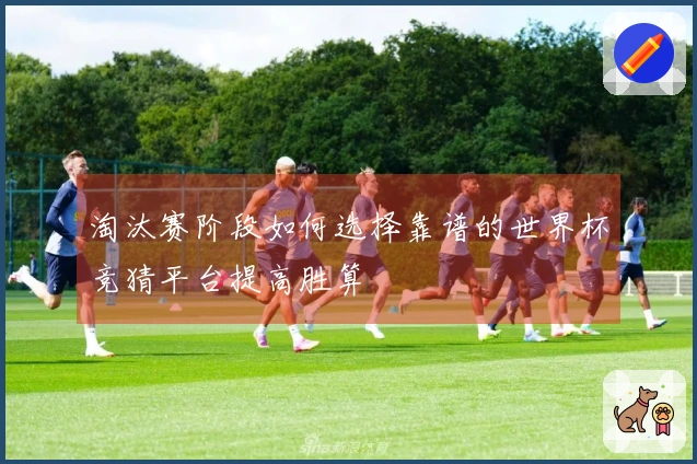淘汰赛阶段如何选择靠谱的世界杯竞猜平台提高胜算