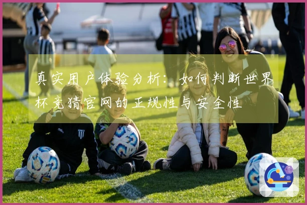 真实用户体验分析:如何判断世界杯竞猜官网的正规性与安全性
