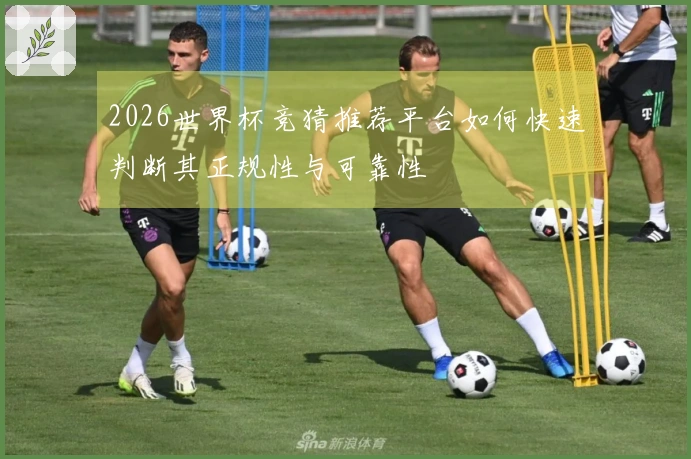 2026世界杯竞猜推荐平台如何快速判断其正规性与可靠性