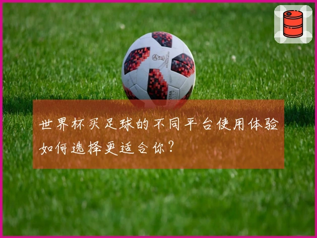 世界杯买足球的不同平台使用体验如何选择更适合你？