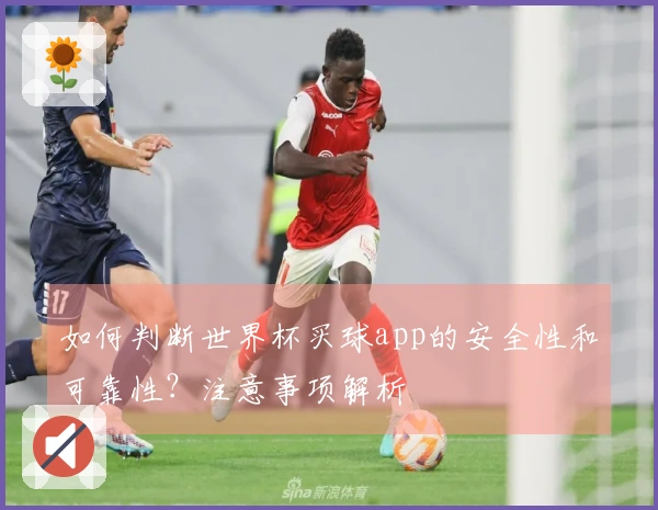 如何判断世界杯买球app的安全性和可靠性？注意事项解析