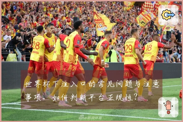 世界杯下注入口的常见问题与注意事项，如何判断平台正规性？