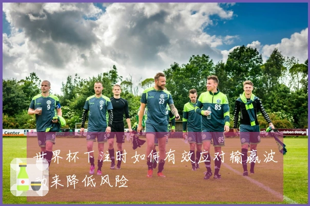 世界杯下注时如何有效应对输赢波动来降低风险