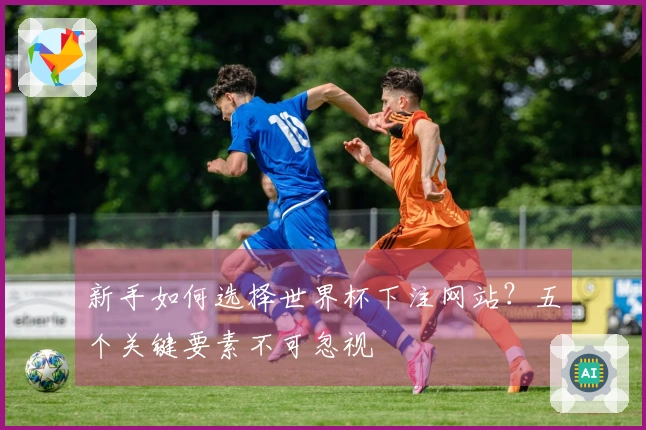 新手如何选择世界杯下注网站？五个关键要素不可忽视