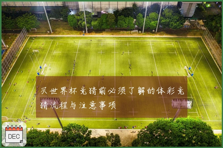 买世界杯竞猜前必须了解的体彩竞猜流程与注意事项
