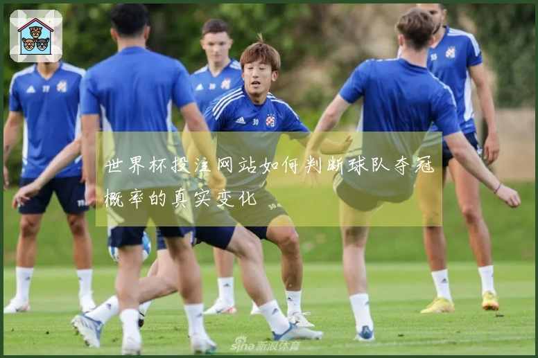 世界杯投注网站如何判断球队夺冠概率的真实变化