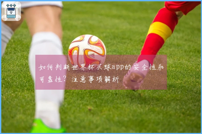 如何判断世界杯买球app的安全性和可靠性？注意事项解析
