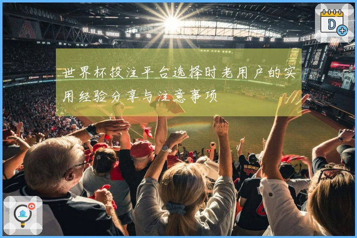 世界杯投注平台选择时老用户的实用经验分享与注意事项